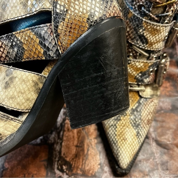 Jeffrey Campbell Cacares Snakeskin Ankle Boots 3 Buckles Moto Chunk Heel SZ 6.5 - Picture 12 of 15